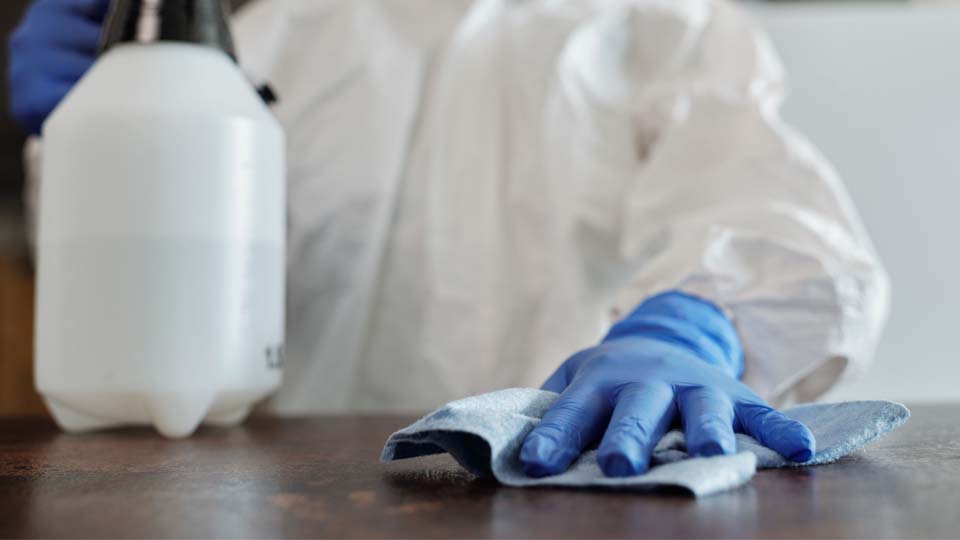Traitement de désinsectisation dans une cuisine professionnelle